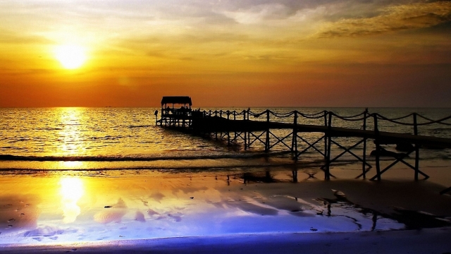 开云:乒乓球台旁的美女是谁